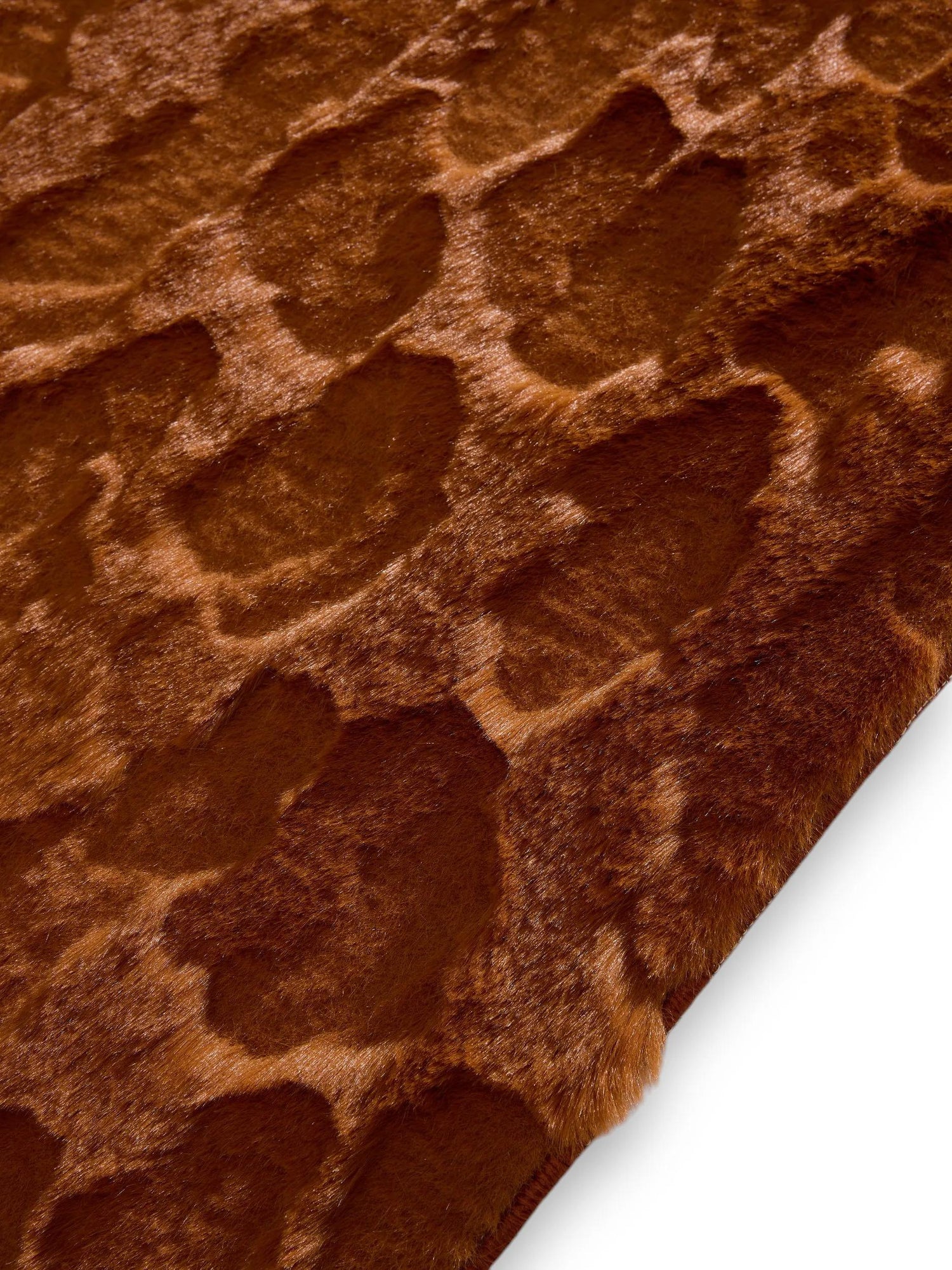 Texture La Fibre Haute Performance