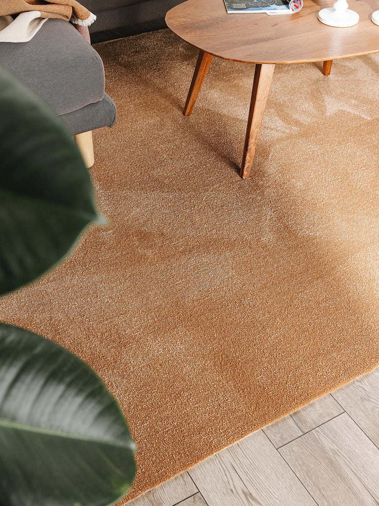 Tapis moderne uni marron lavable 200x290 cm