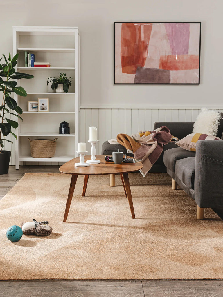 Tapis moderne uni marron lavable 200x290 cm