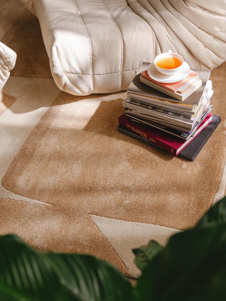 Tapis moderne  beige et marron 200x300 cm