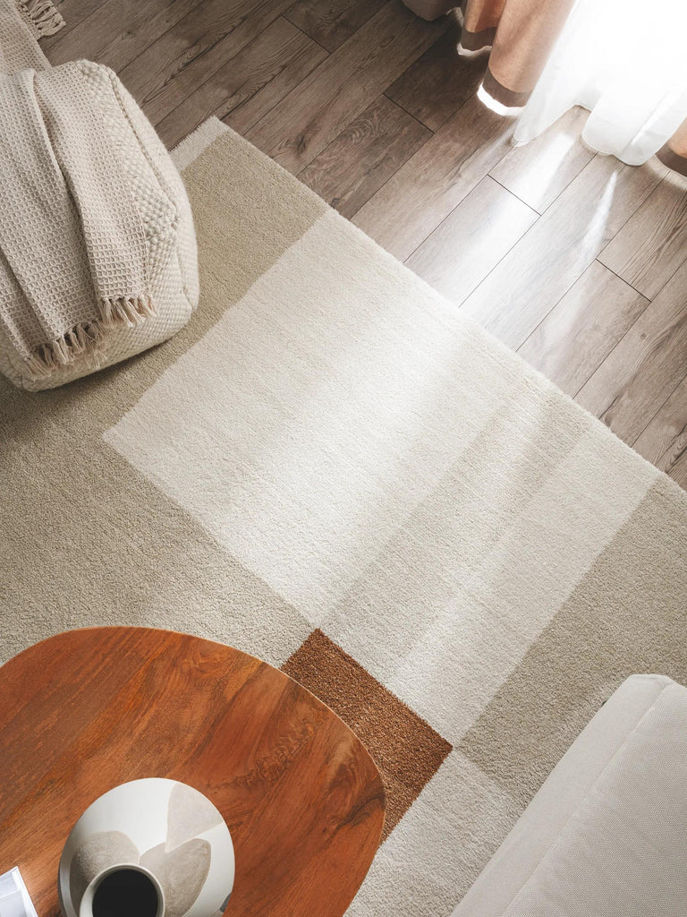 Tapis contemporain beige et marron 200x290 cm